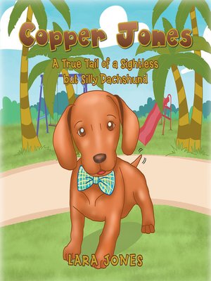 cover image of Copper Jones